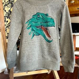 Carters. Embroidery Dinosaur Sweatshirt. 4T